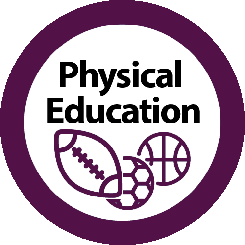 PE Icon 